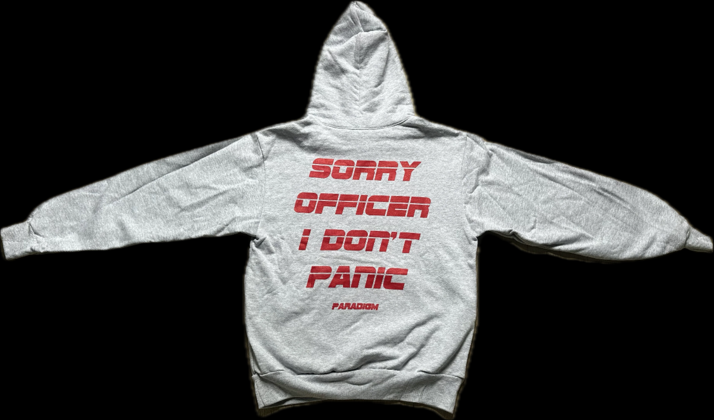 No Panic Zone Box Logo Hoodie