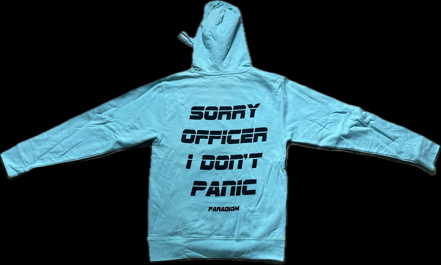 No Panic Zone Box Logo Hoodie