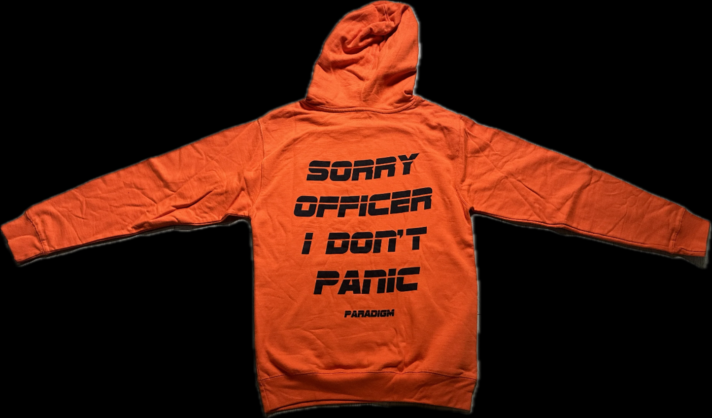 No Panic Zone Box Logo Hoodie